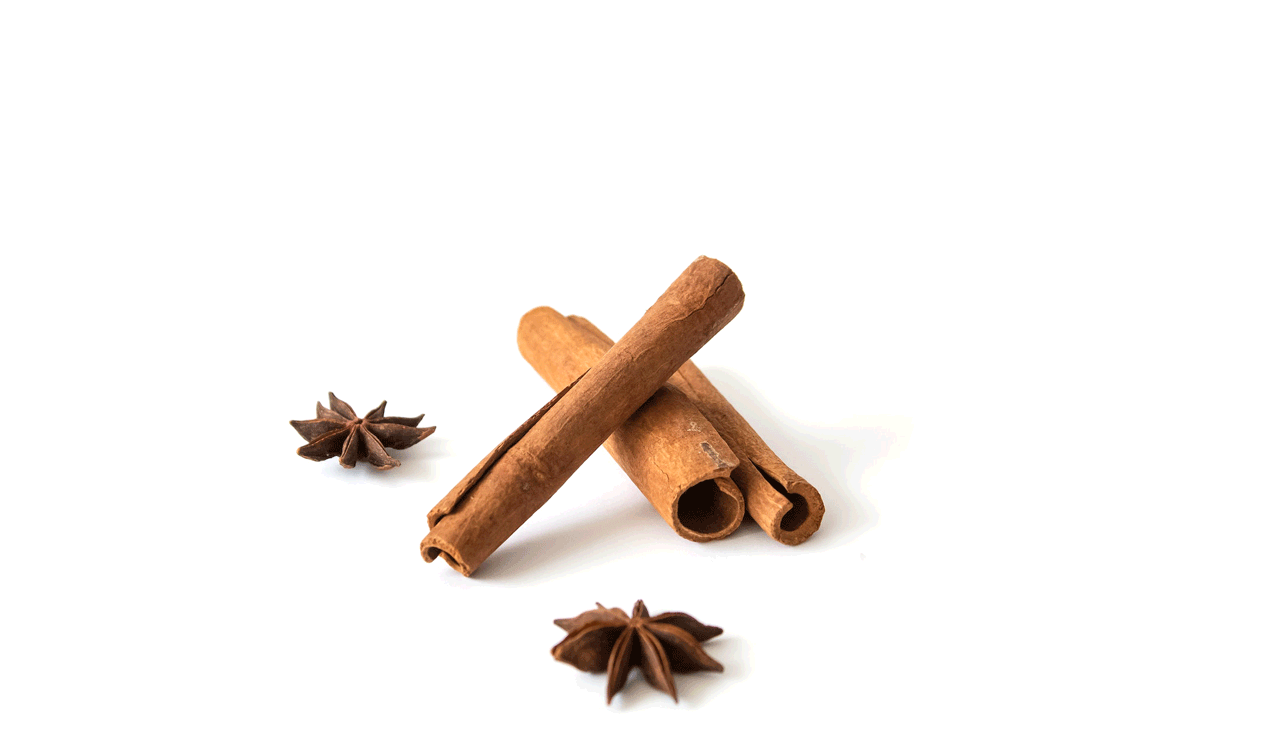 肉桂與八角 — 鼎記國際食品精選香料